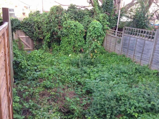Overgrown Garden Clearance Dublin, Cut Back Overgrown Garden Service